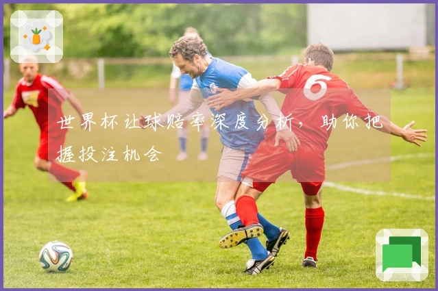 世界杯让球赔率深度分析，助你把握投注机会