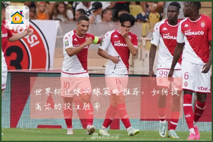 世界杯让球买球策略推荐，如何提高你的投注胜率