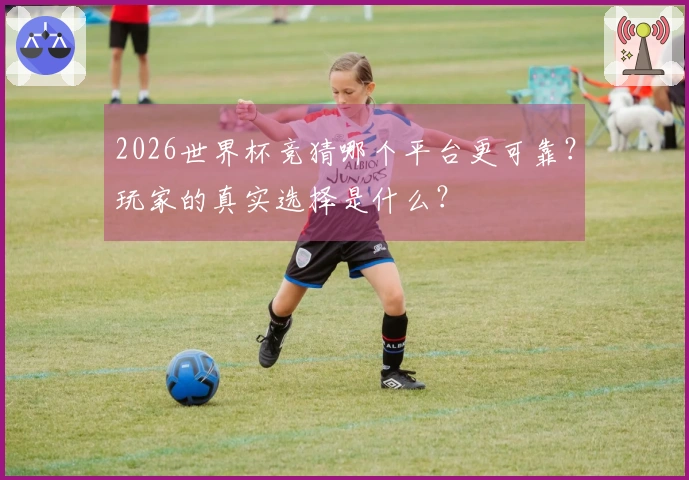 2026世界杯竞猜哪个平台更可靠？玩家的真实选择是什么？