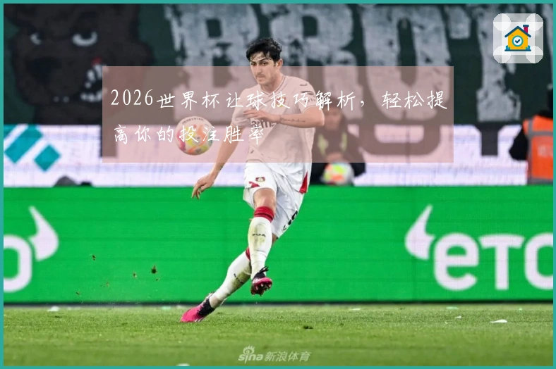 2026世界杯让球技巧解析，轻松提高你的投注胜率