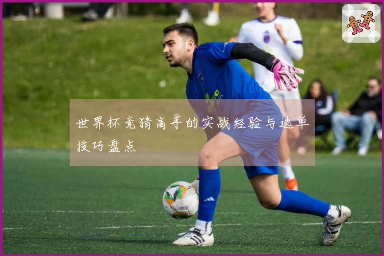 世界杯竞猜高手的实战经验与选单技巧盘点