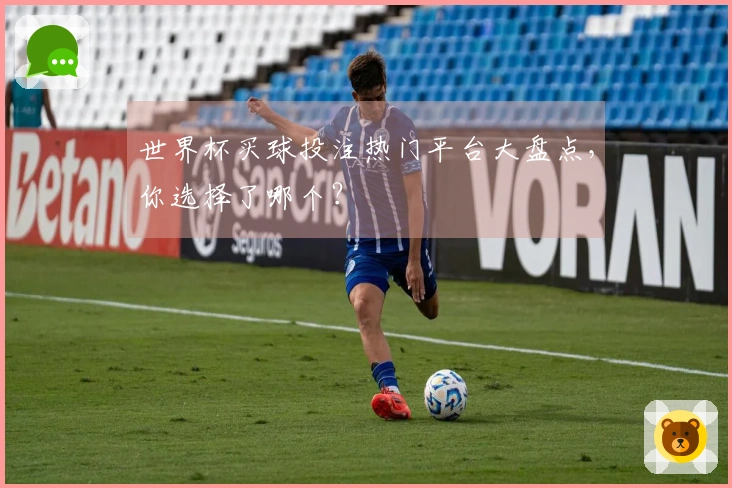 世界杯买球投注热门平台大盘点，你选择了哪个？