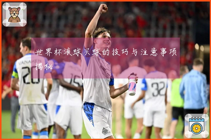 世界杯滚球买球的技巧与注意事项揭秘