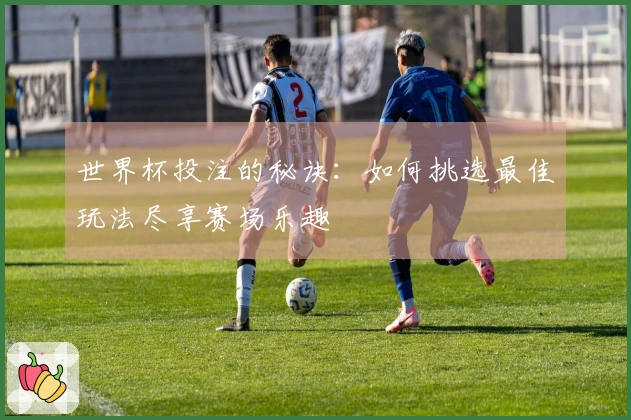 世界杯投注的秘诀：如何挑选最佳玩法尽享赛场乐趣