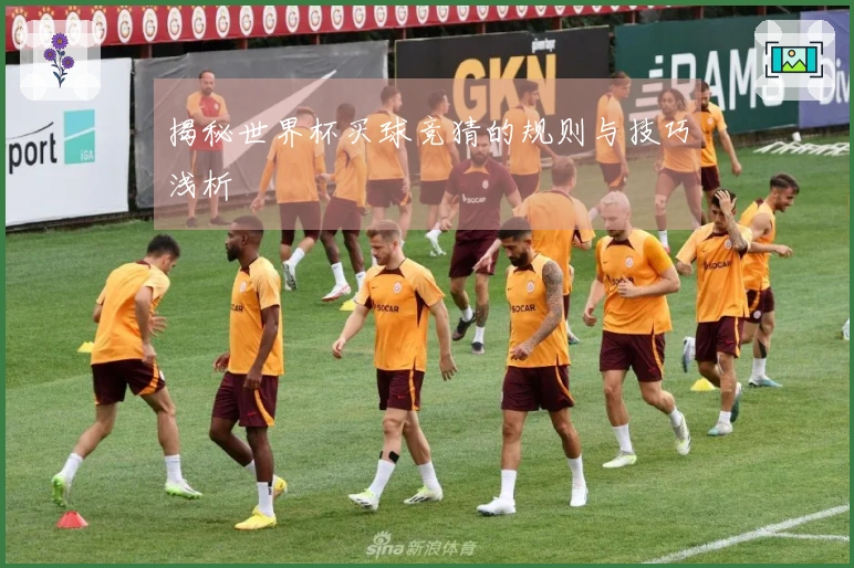 揭秘世界杯买球竞猜的规则与技巧浅析