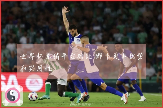 世界杯竞猜平台对比 哪个更具优势和实用性