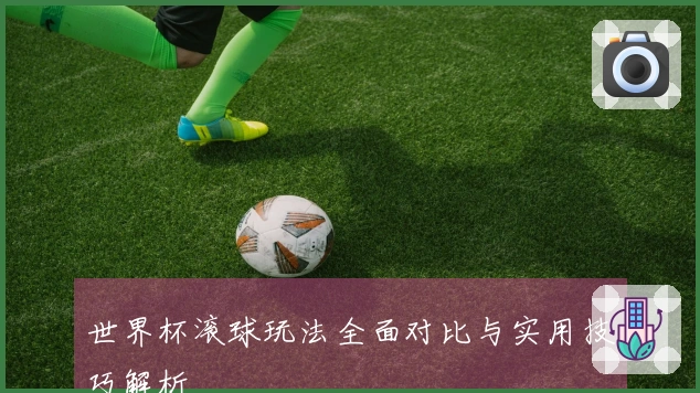 世界杯滚球玩法全面对比与实用技巧解析