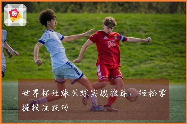 世界杯让球买球实战推荐，轻松掌握投注技巧