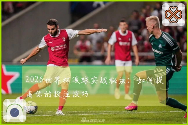 2026世界杯滚球实战秘诀：如何提高你的投注技巧